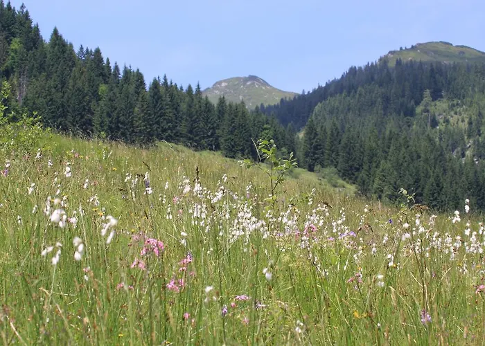 Traublingerhof - Self Check In Kirchberg en Tyrol