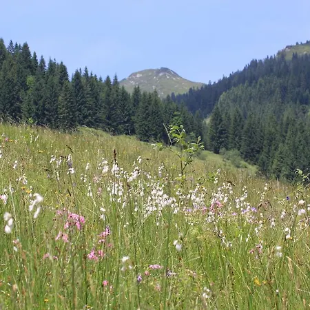 Traublingerhof - Self Check In Κίρχμπεργκ ιν Τιρόλ